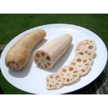 Natural Lotus Root